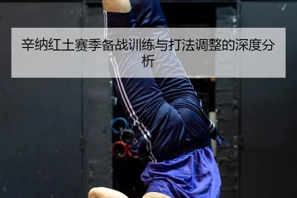 辛纳红土赛季备战训练与打法调整的深度分析